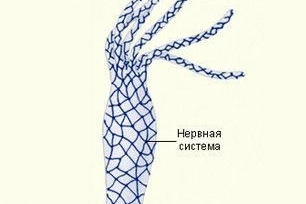 Кракен ссылка на тор официальная онион