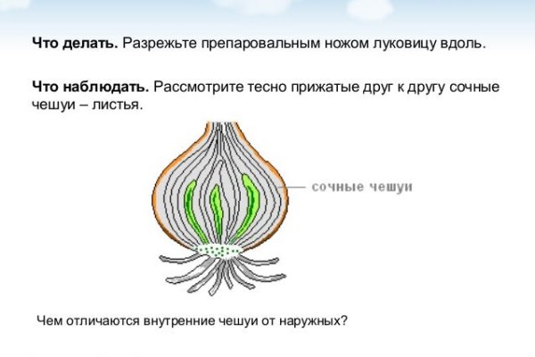 Kraken адрес onion