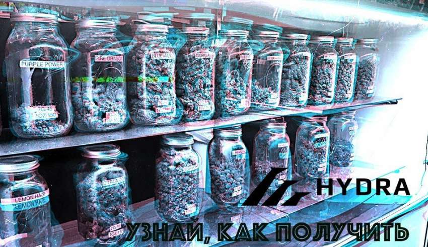 Актуальные ссылки кракен на 2025